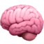 cervello
